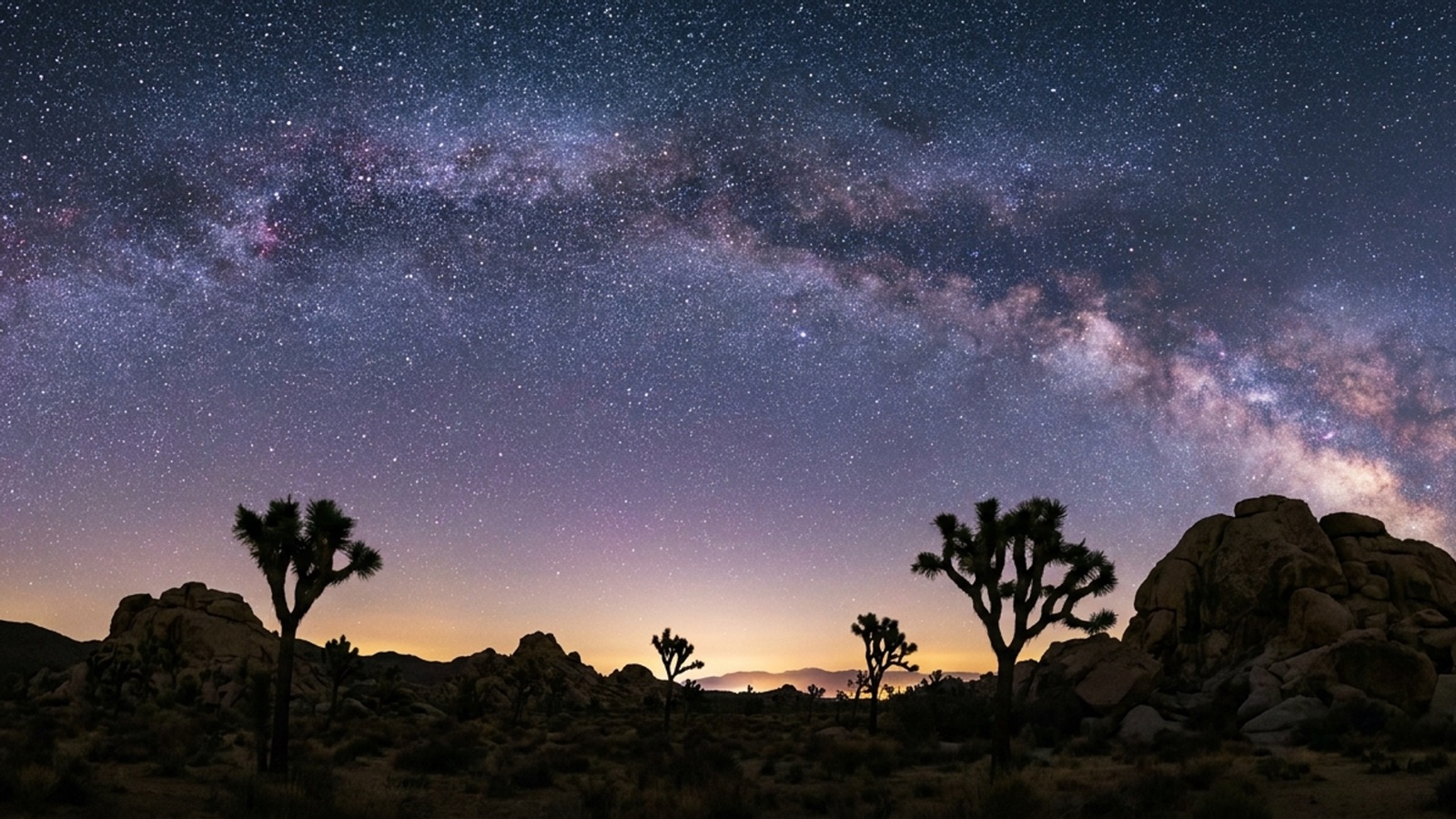 The Milky Way over Joshua trees at night